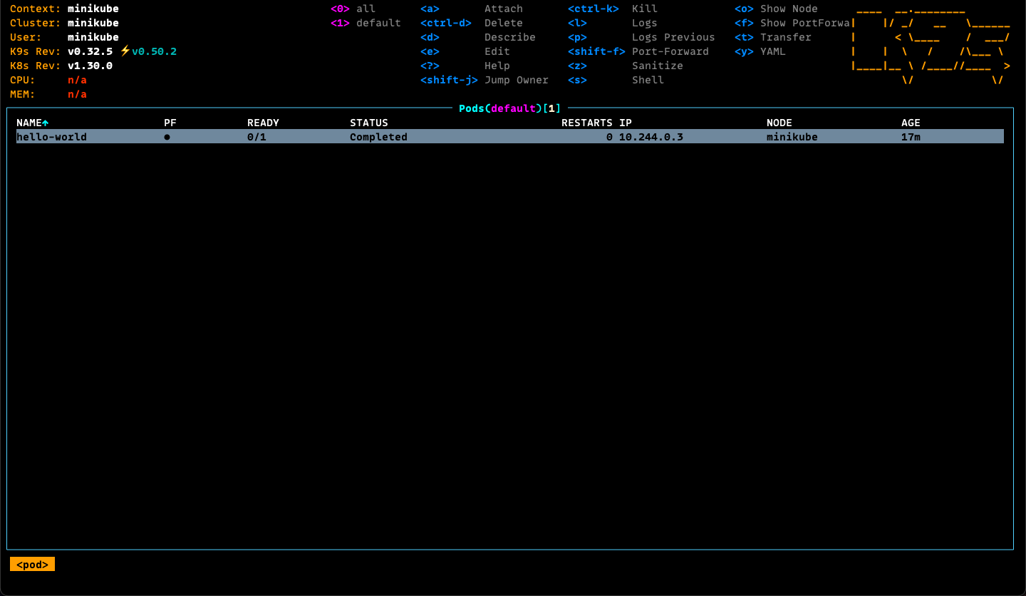 k9s dashboard with pod